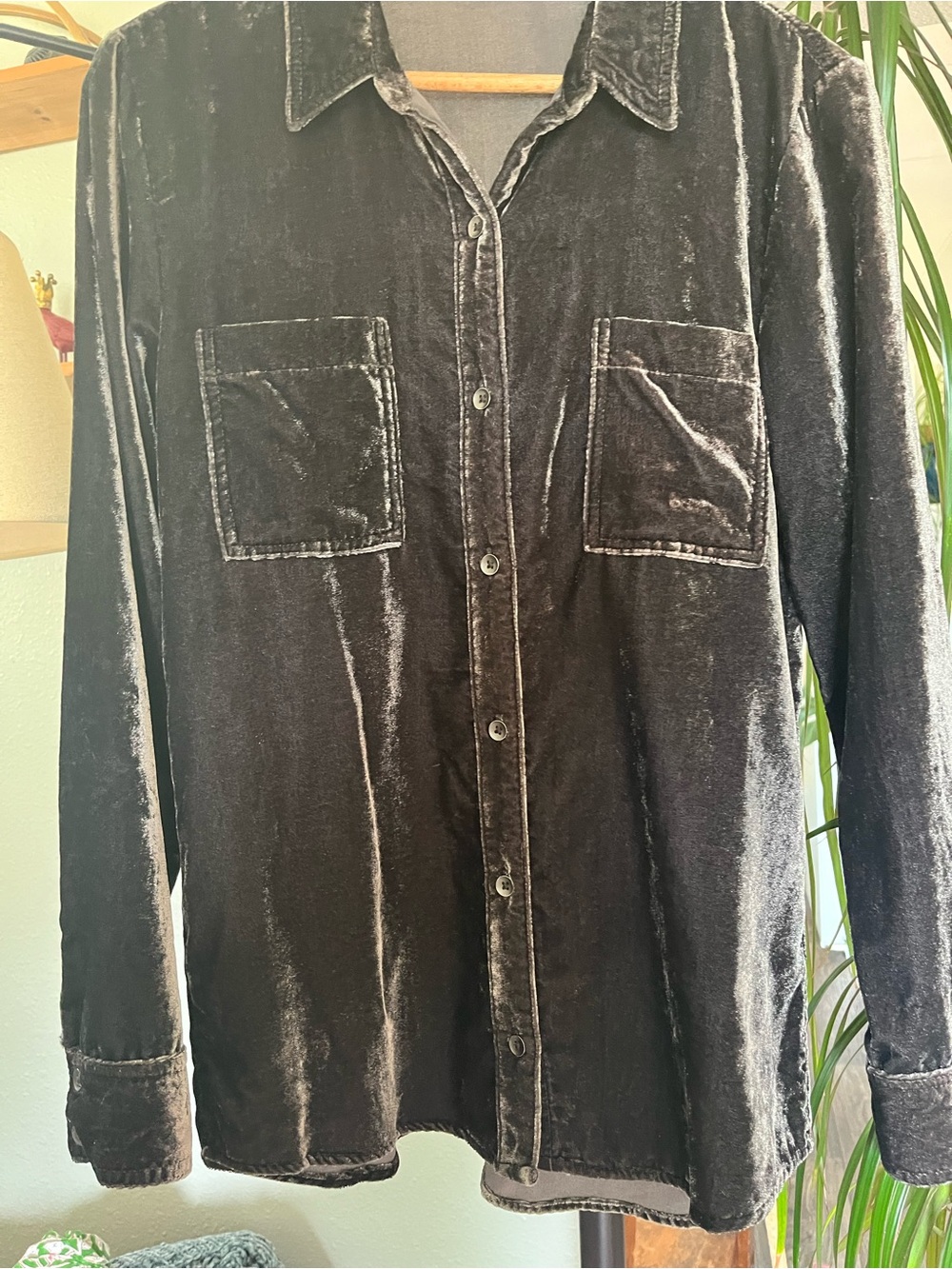 Splendid Velvet Button-Up, Long Sleeve Shirt in Charcoal Green Size Small